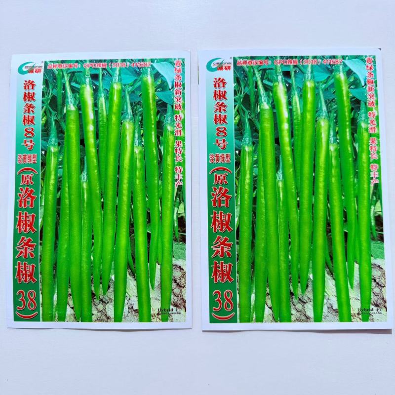 洛椒条椒8号辣椒种子杂交早熟淡黄绿色线椒较辣蔬菜籽