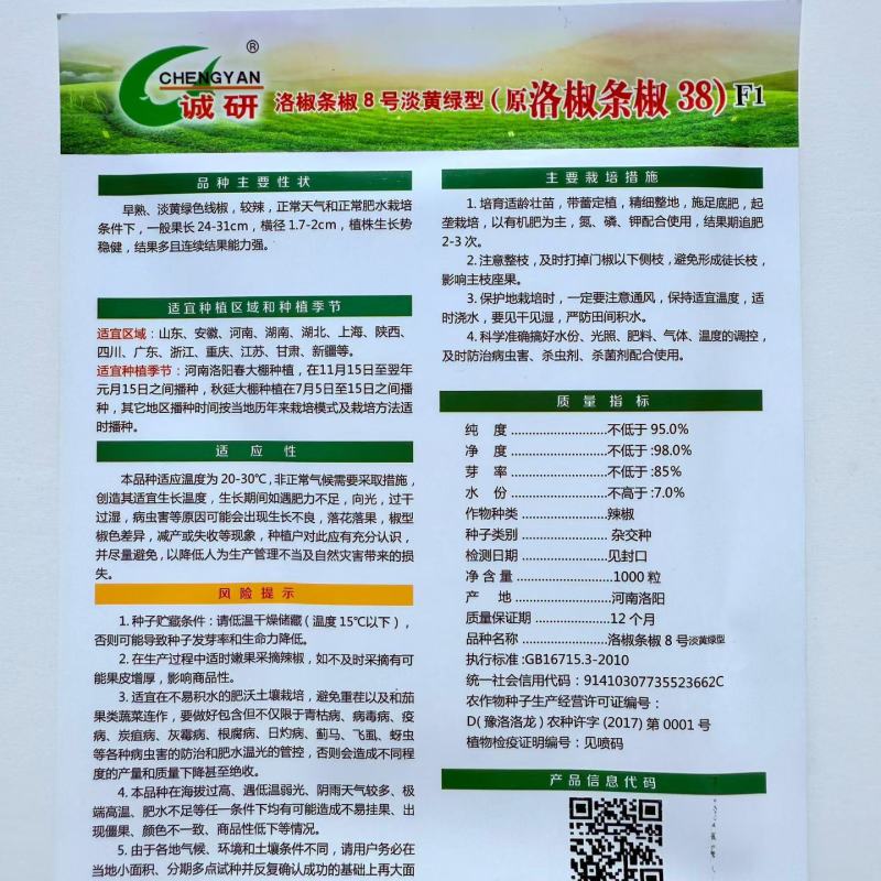 洛椒条椒8号辣椒种子杂交早熟淡黄绿色线椒较辣蔬菜籽