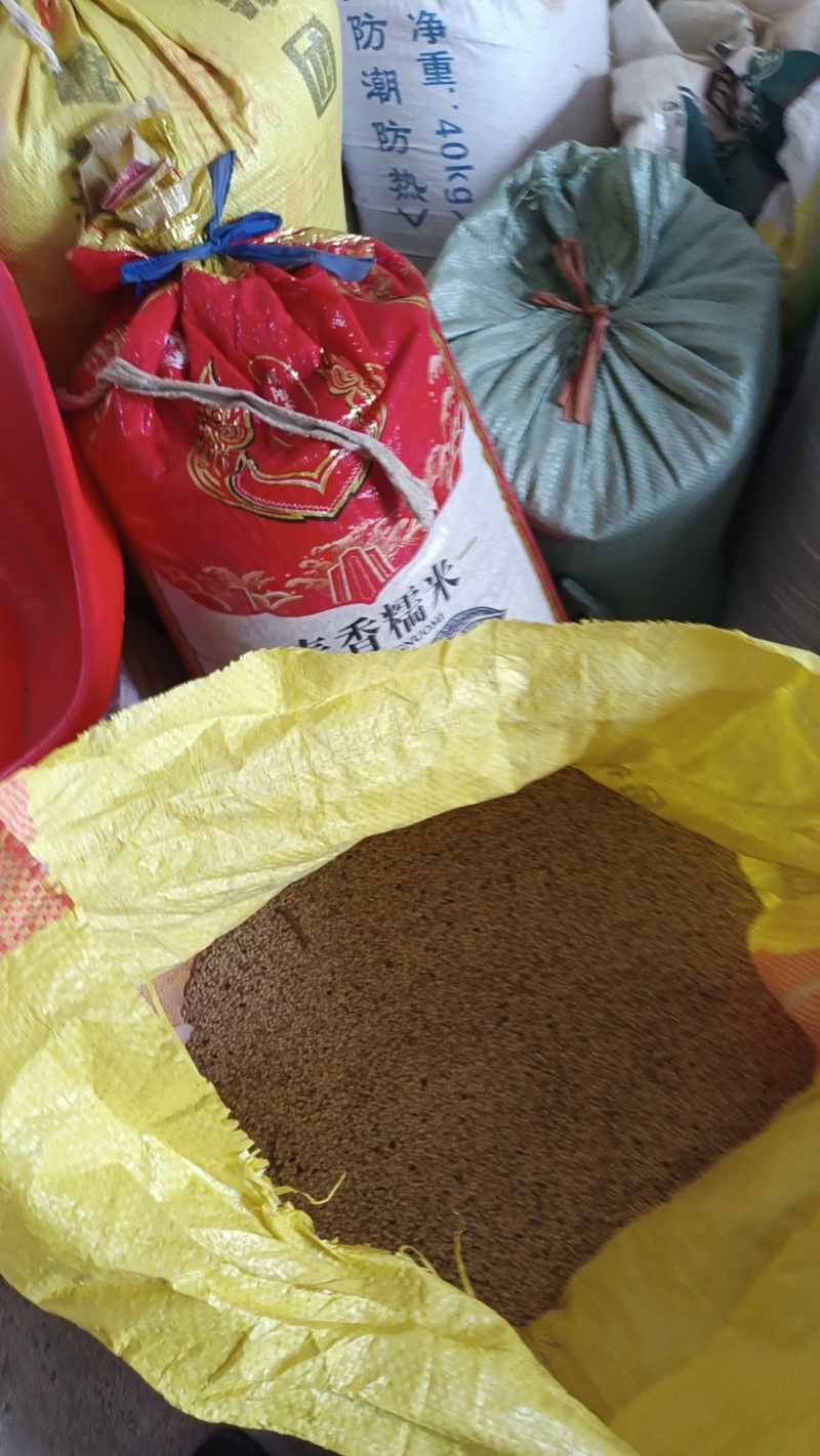 白芝麻，黑芝麻，苎麻，棉花，黄豆。花生油菜子。