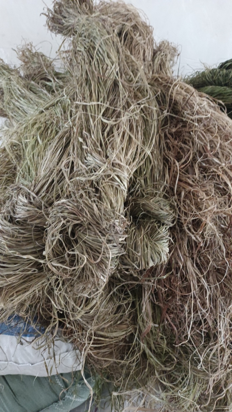 白芝麻，黑芝麻，苎麻，棉花，黄豆。花生油菜子。
