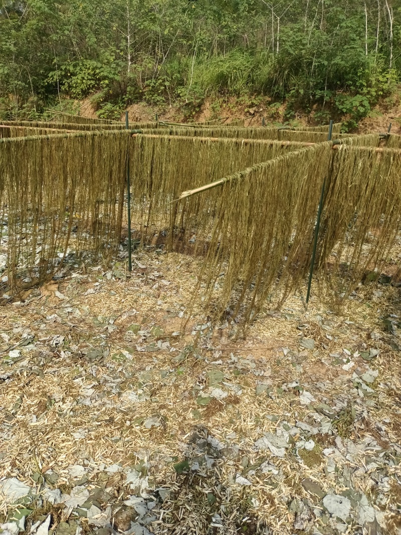 白芝麻，黑芝麻，苎麻，棉花，黄豆。花生油菜子。