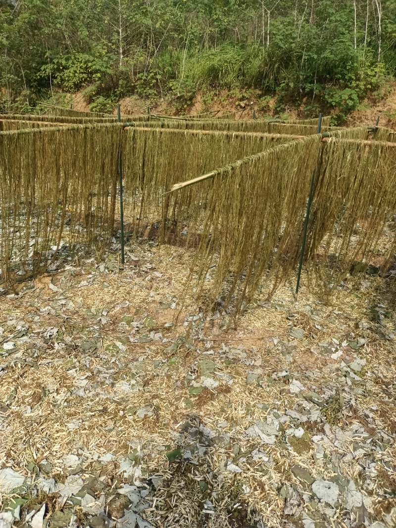 白芝麻，黑芝麻，苎麻，棉花，黄豆。花生油菜子。