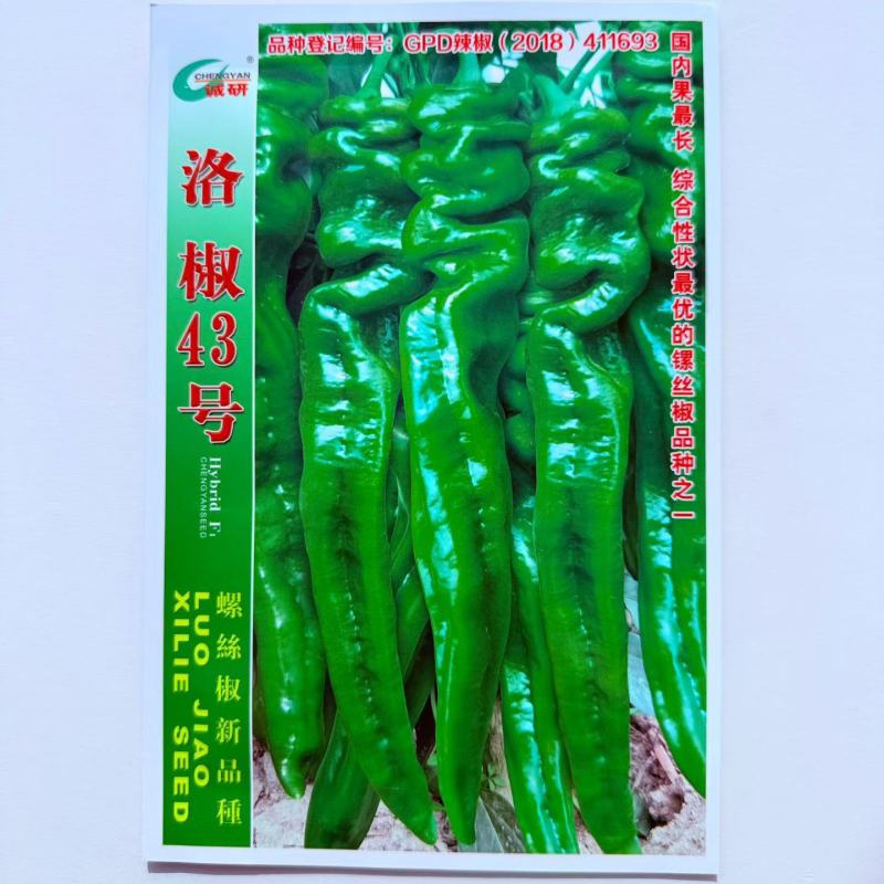 诚研洛椒43号特大果螺丝椒种子巨型高产抗病毒病超辣品种