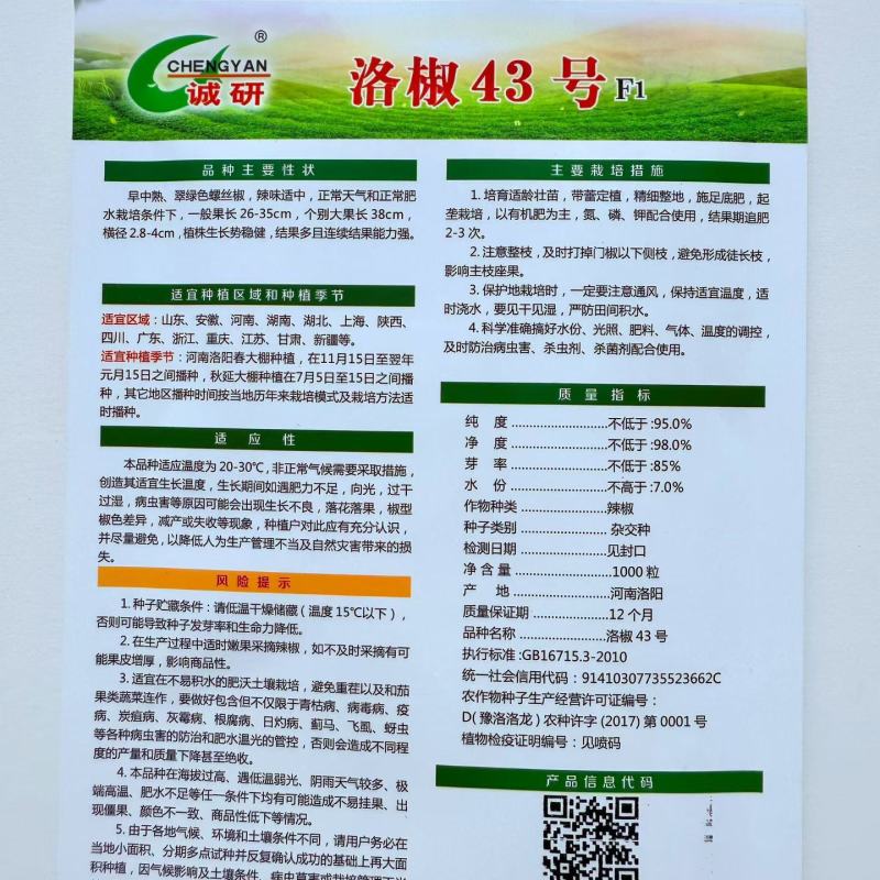 诚研洛椒43号特大果螺丝椒种子巨型高产抗病毒病超辣品种