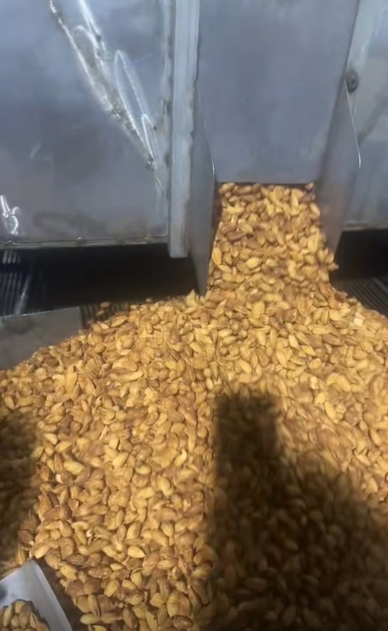 巴旦木电商货大量库存坚果源头工厂现货坚果干果