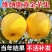 红富士苹果树苗黑钻冰糖心嘎啦奶油南北方种植现挖现发