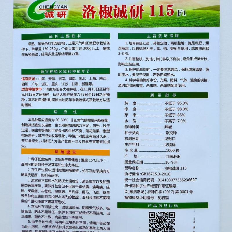洛阳诚研115号甜椒1000粒方椒菜椒柿子辣椒种子抗病巴