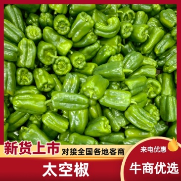 【精品太空椒】辽宁万亩精品太空椒大量上市产地直发