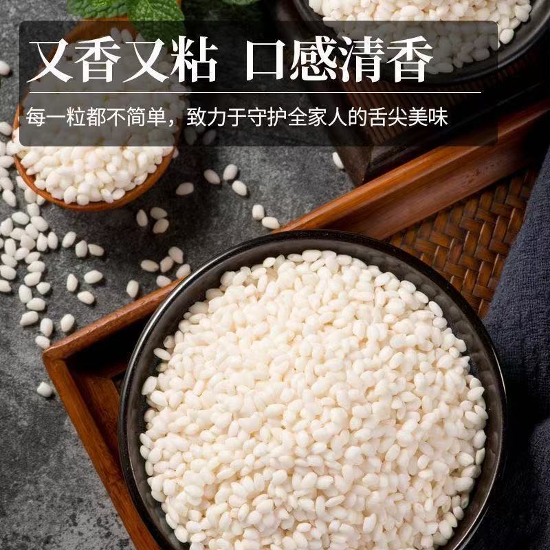 东北圆糯米5斤新米新鲜米白糯米江米酒酿包粽子米