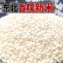 喂米好东北糯米10斤香糯米江米粘糯米糍粑用香糯家庭装