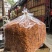 虫草花天然无硫大量现货规格齐全全国发货欢迎合作