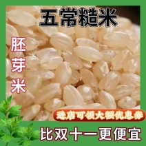 东北五常糙米5斤新米玄米***单色糙米纯糙米五谷杂粮批发