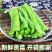 清水贡菜/调味贡菜/厂家直发/大量有货