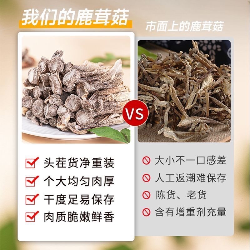 鹿茸菇干货/厂家直发/大量现货/欢迎批发