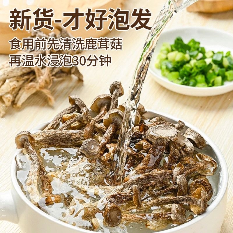 鹿茸菇干货/厂家直发/大量现货/欢迎批发