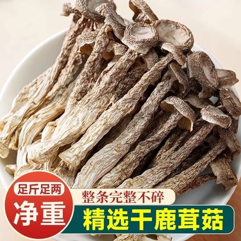 鹿茸菇干货/厂家直发/大量现货/欢迎批发