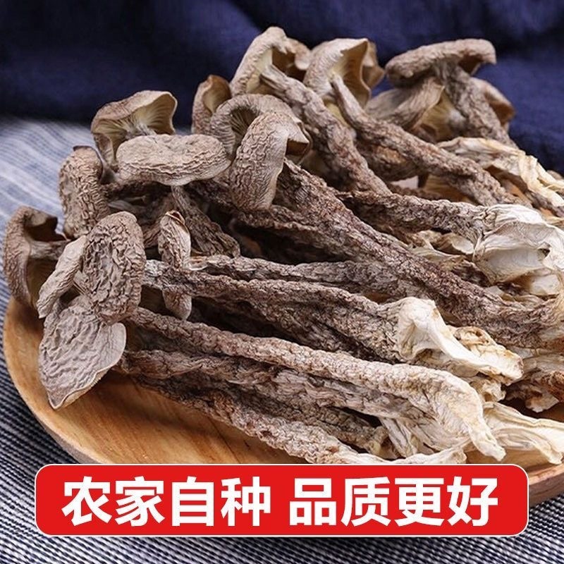 鹿茸菇干货/厂家直发/大量现货/欢迎批发
