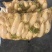 湖北白萝卜/诚信经营/大量供应/保质保量