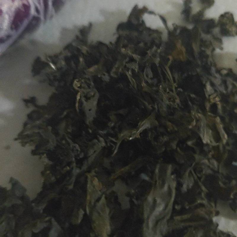 地皮菜雷公菜地软野生