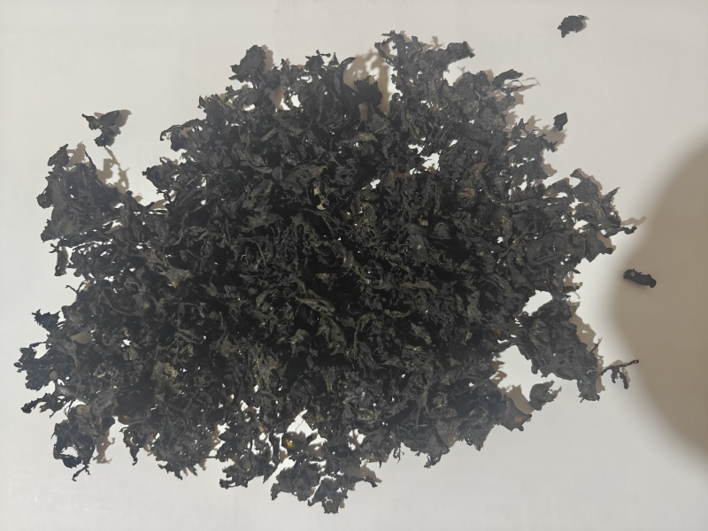 地皮菜雷公菜地软野生