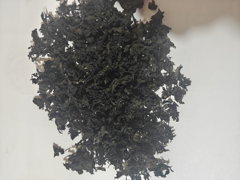 地皮菜雷公菜地软野生