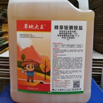 %10草铵膦荒地除草牛筋草小飞蓬农药除草剂可上柜可