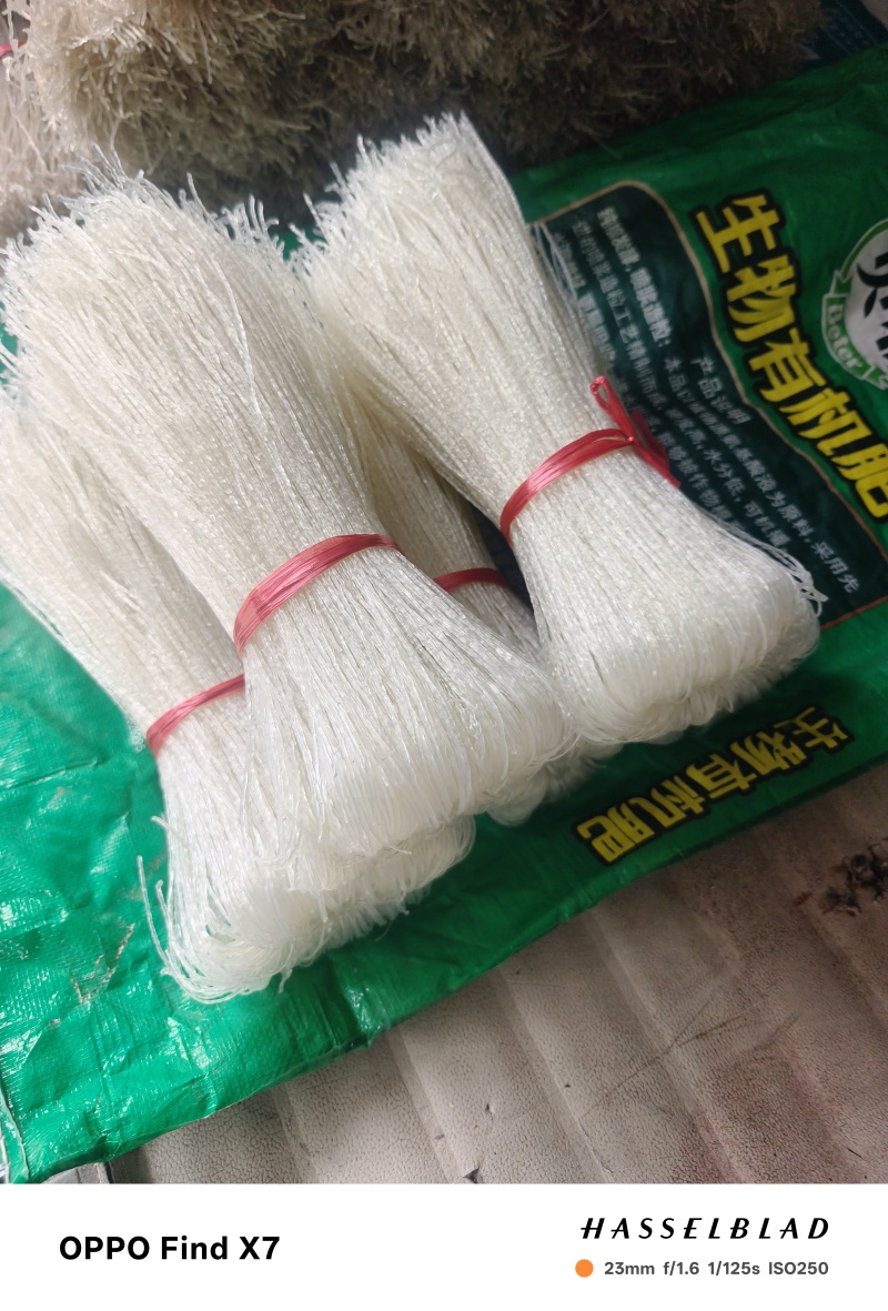 土豆粉条，红薯粉条（2斤装）