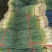 45.50公分
