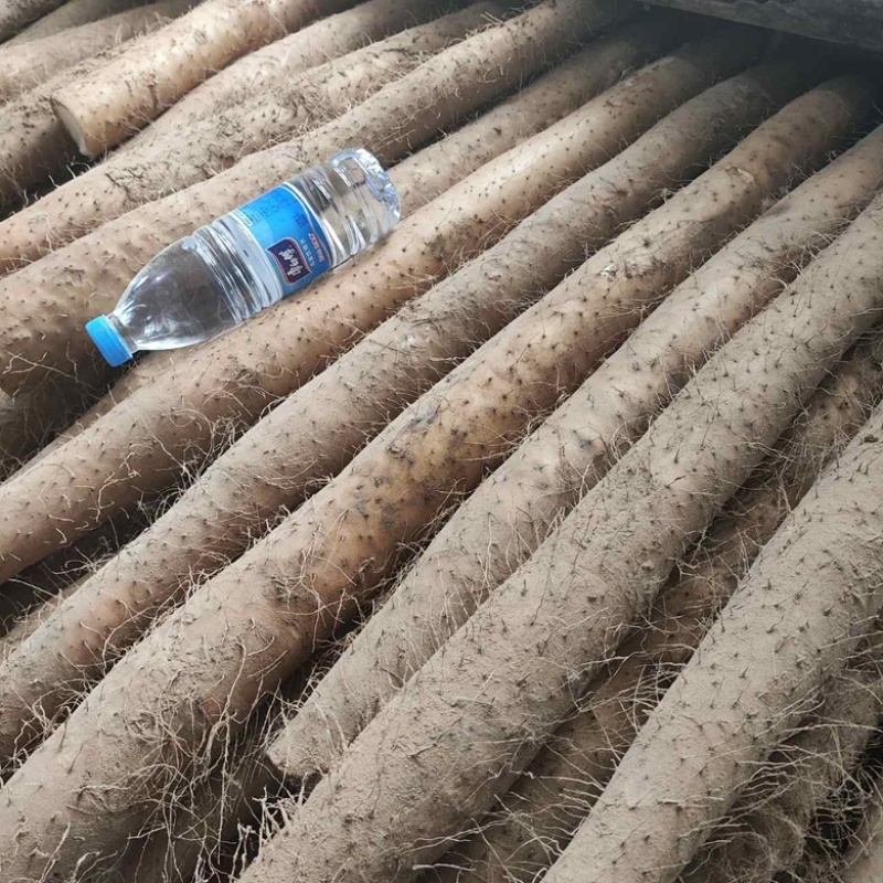 贵州山药电商一件带发顺丰发货欢迎电商对接，24小时发货