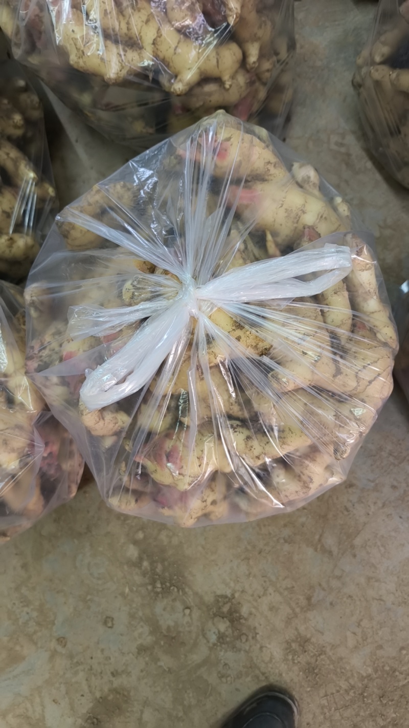 华州生姜大量上市，姜块肥大，辣味香浓，产地直釆，需要联糸