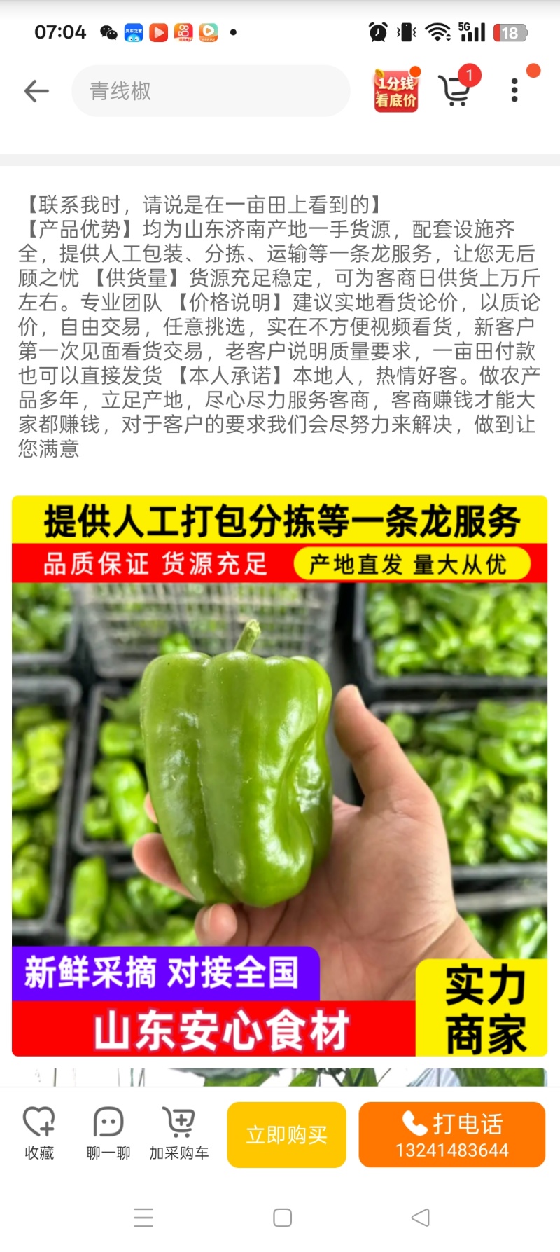 产地直供农户直采万亩太空椒大量上市中专业包装团队