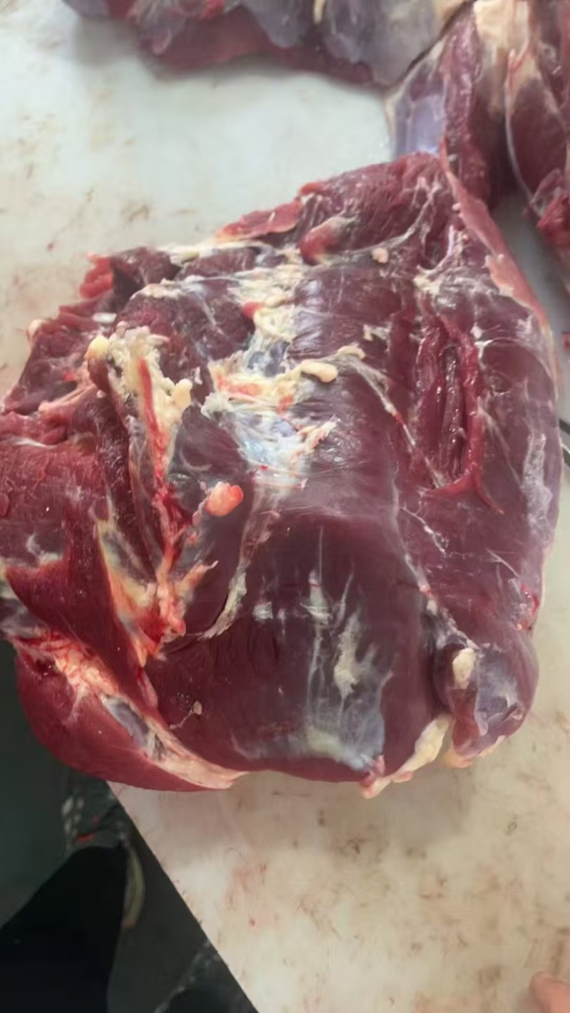 黄牛肉只做精品自己牧场分割加工质量有保证