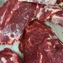 黄牛肉只做精品自己牧场分割加工质量有保证