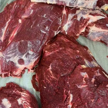 黄牛肉只做精品自己牧场分割加工质量有保证