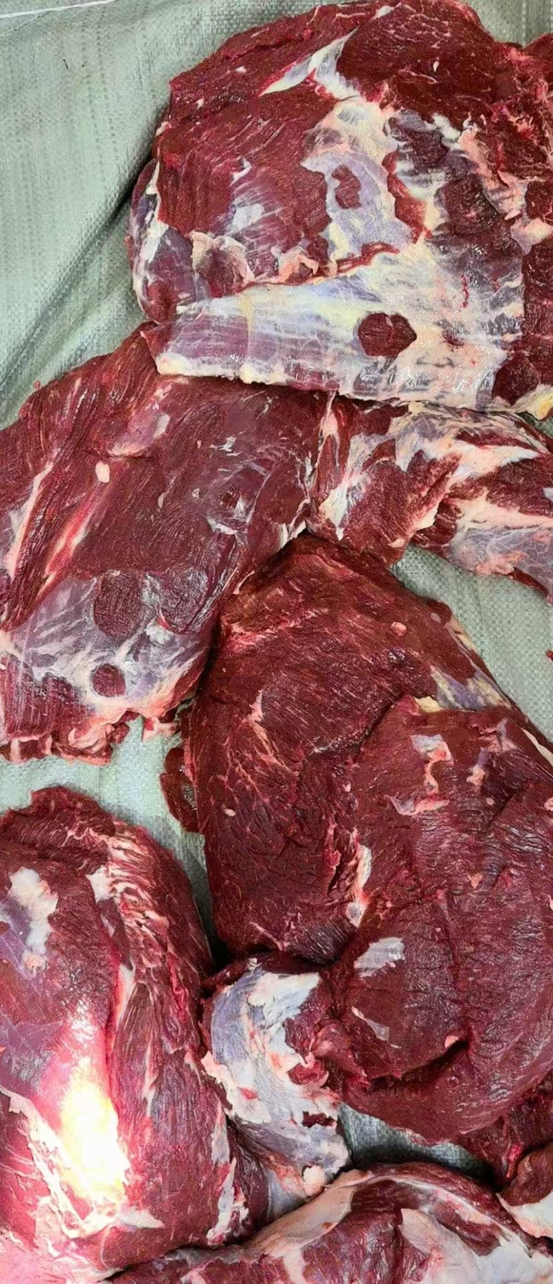 黄牛肉只做精品自己牧场分割加工质量有保证