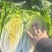 《一棵秋白菜》新疆白菜/半棵黄心/产地货源/来电咨询合作