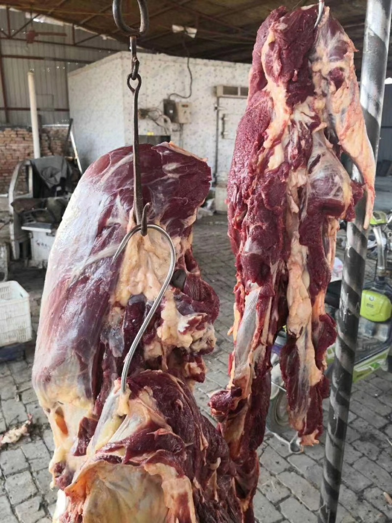 黄牛肉只做精品自己牧场分割加工质量有保证