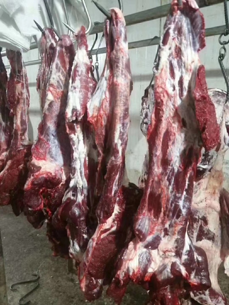 黄牛肉只做精品自己牧场分割加工质量有保证