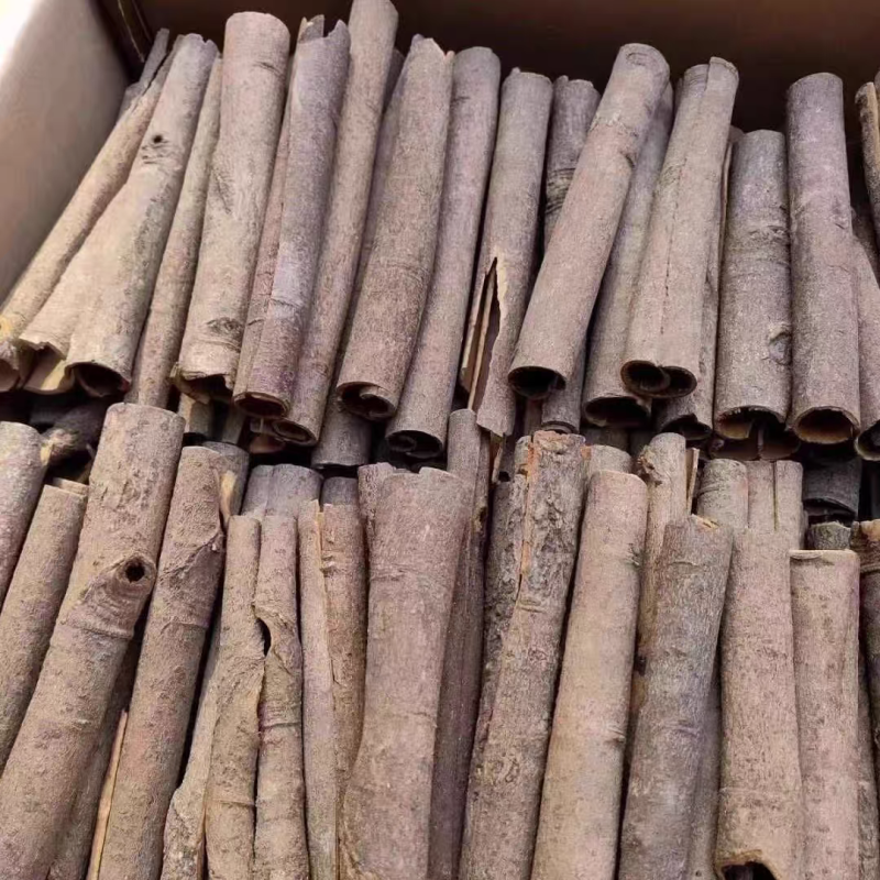 广西肉桂现货现发货源充足可视频看货欢迎下单