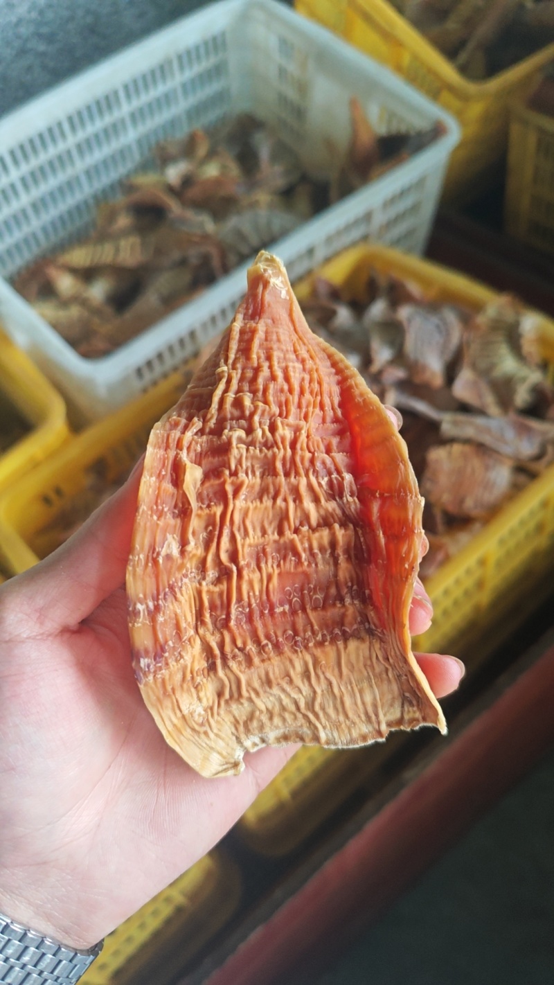 湖南高山玉兰片