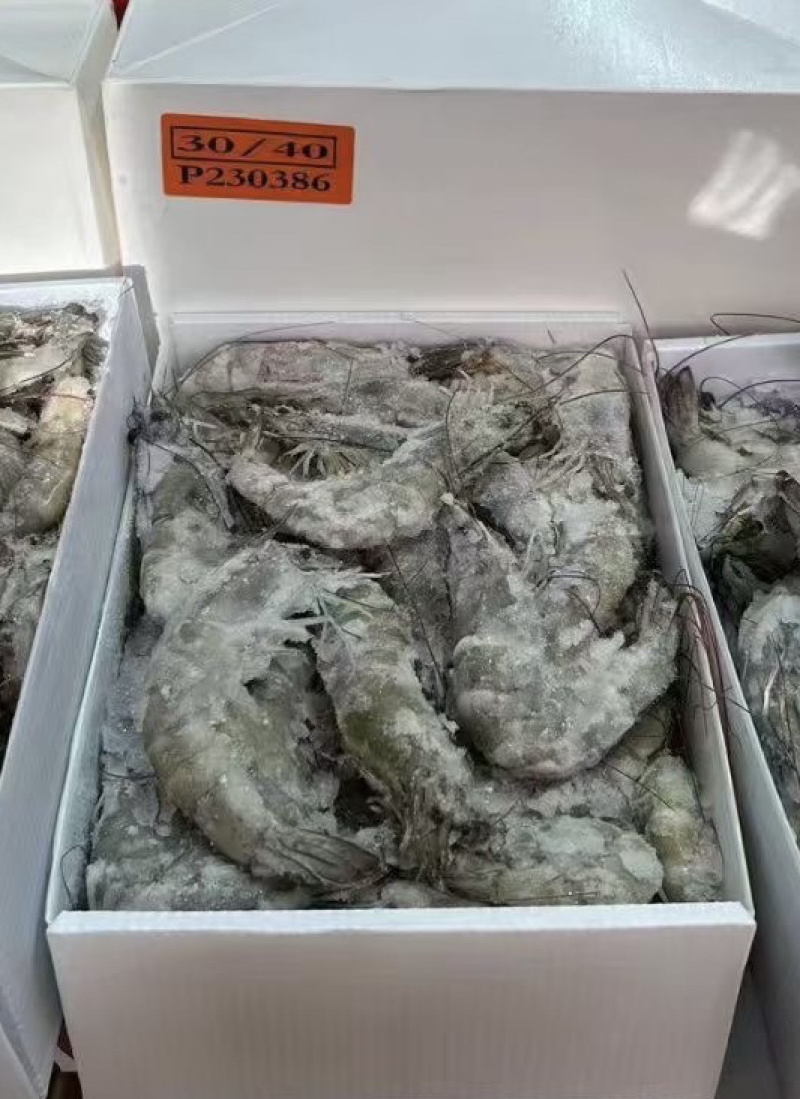 南美盒装对虾王牌有信桑塔红太阳1.41.51.65
