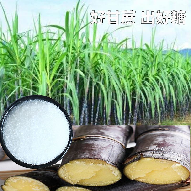 10斤白砂糖云农伯伯白砂糖云南一级白砂糖白糖糖葫芦专用糖