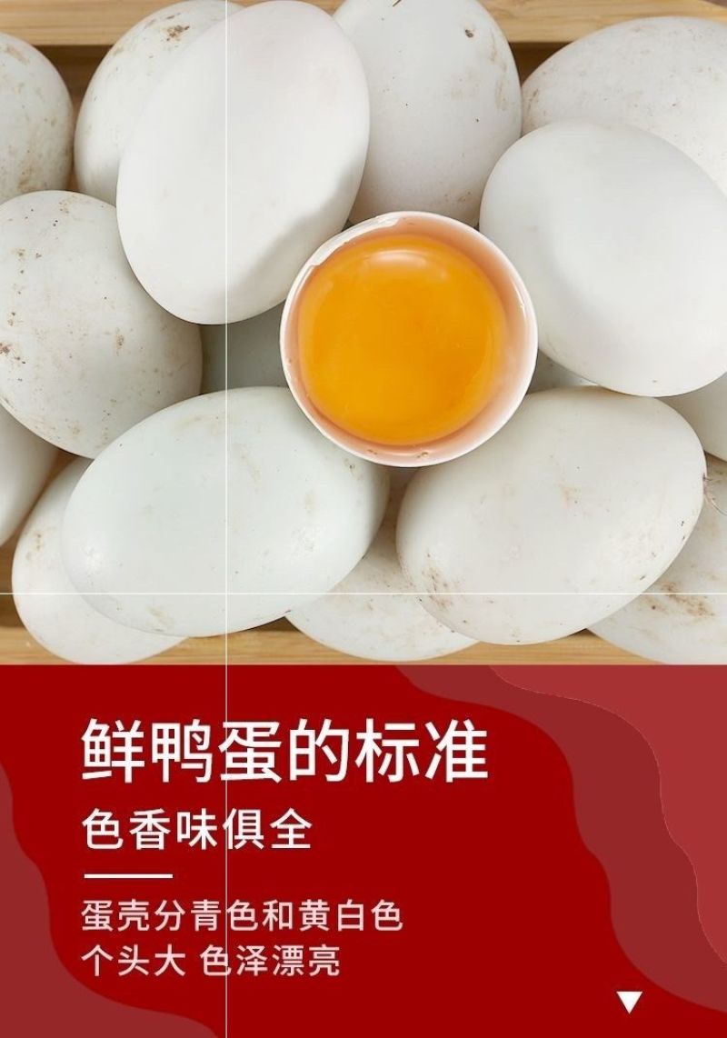 土鸭蛋一件代发