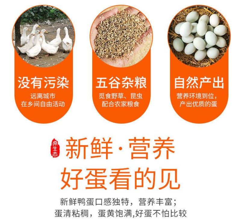 土鸭蛋一件代发