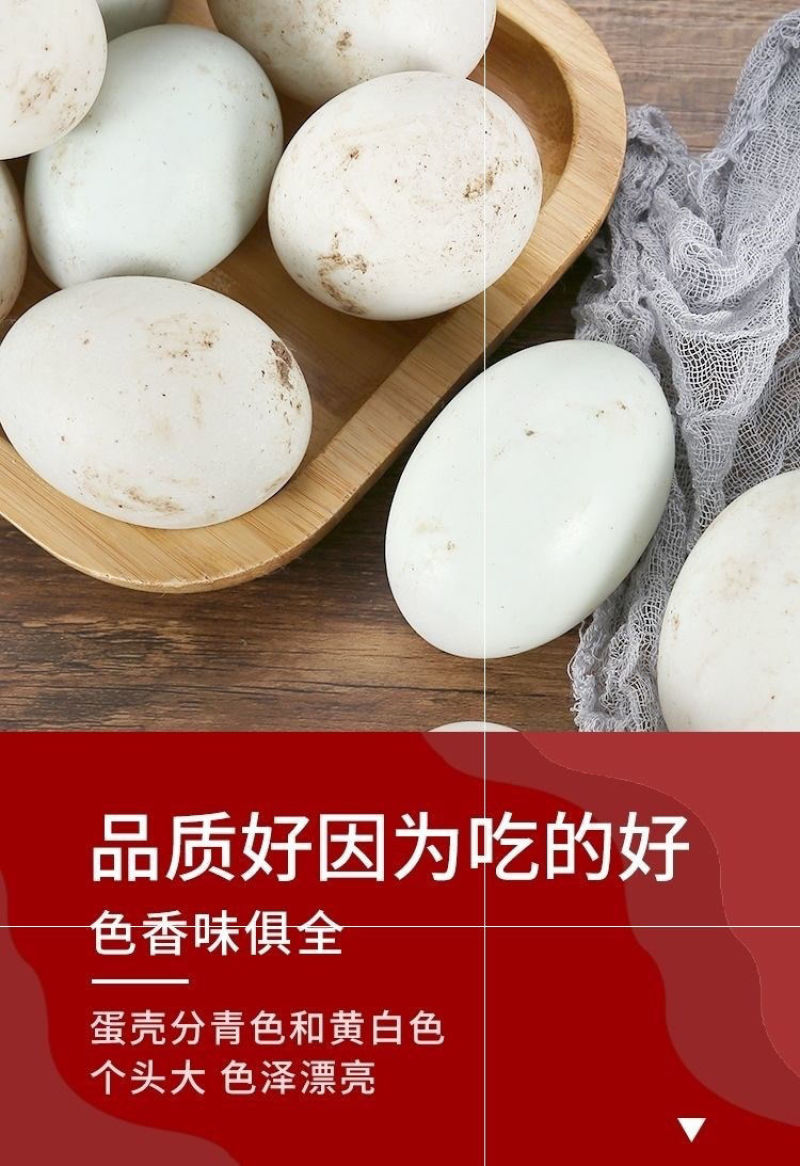 土鸭蛋一件代发