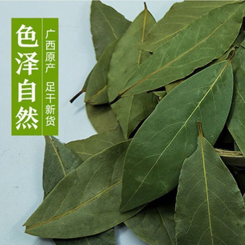 【只卖头茬香叶】新货广西新货香叶无熏硫香叶香料卤料商用