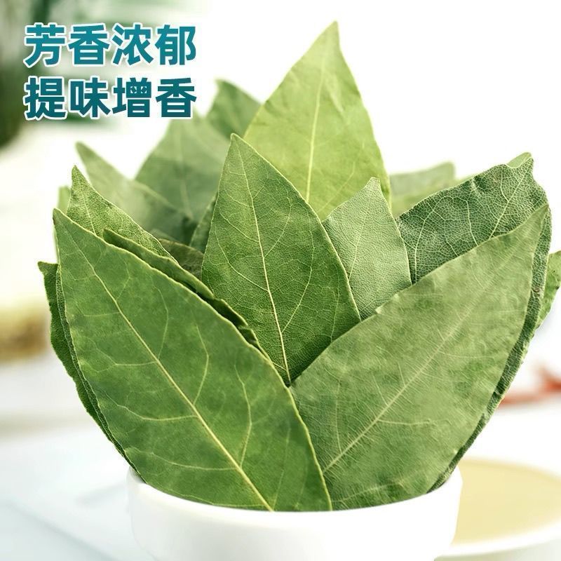 【只卖头茬香叶】新货广西新货香叶无熏硫香叶香料卤料商用