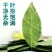 【只卖头茬香叶】新货广西新货香叶无熏硫香叶香料卤料商用