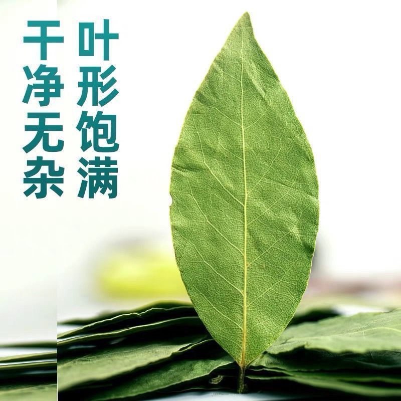 【只卖头茬香叶】新货广西新货香叶无熏硫香叶香料卤料商用