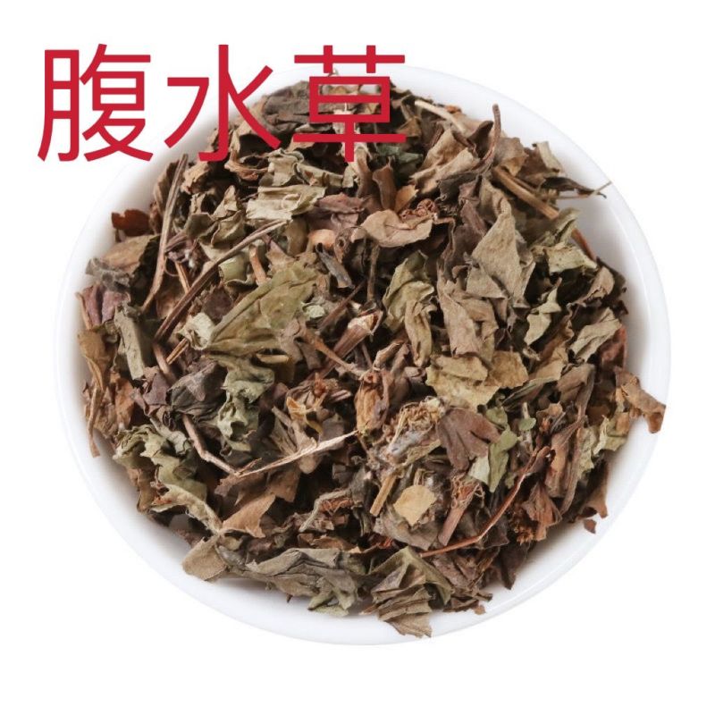 腹水草1公斤新鲜中药材批发新货天桥草仙桥草毛叶仙桥